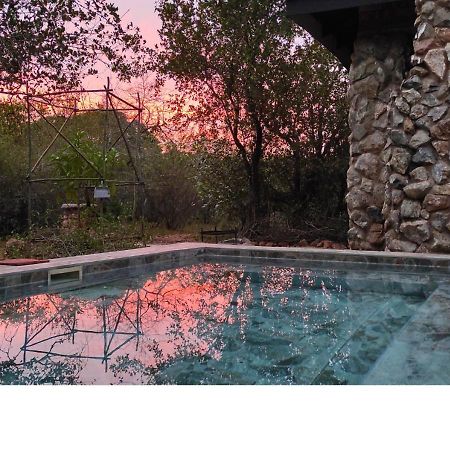 Villa Lion King Marloth Park Esterno foto
