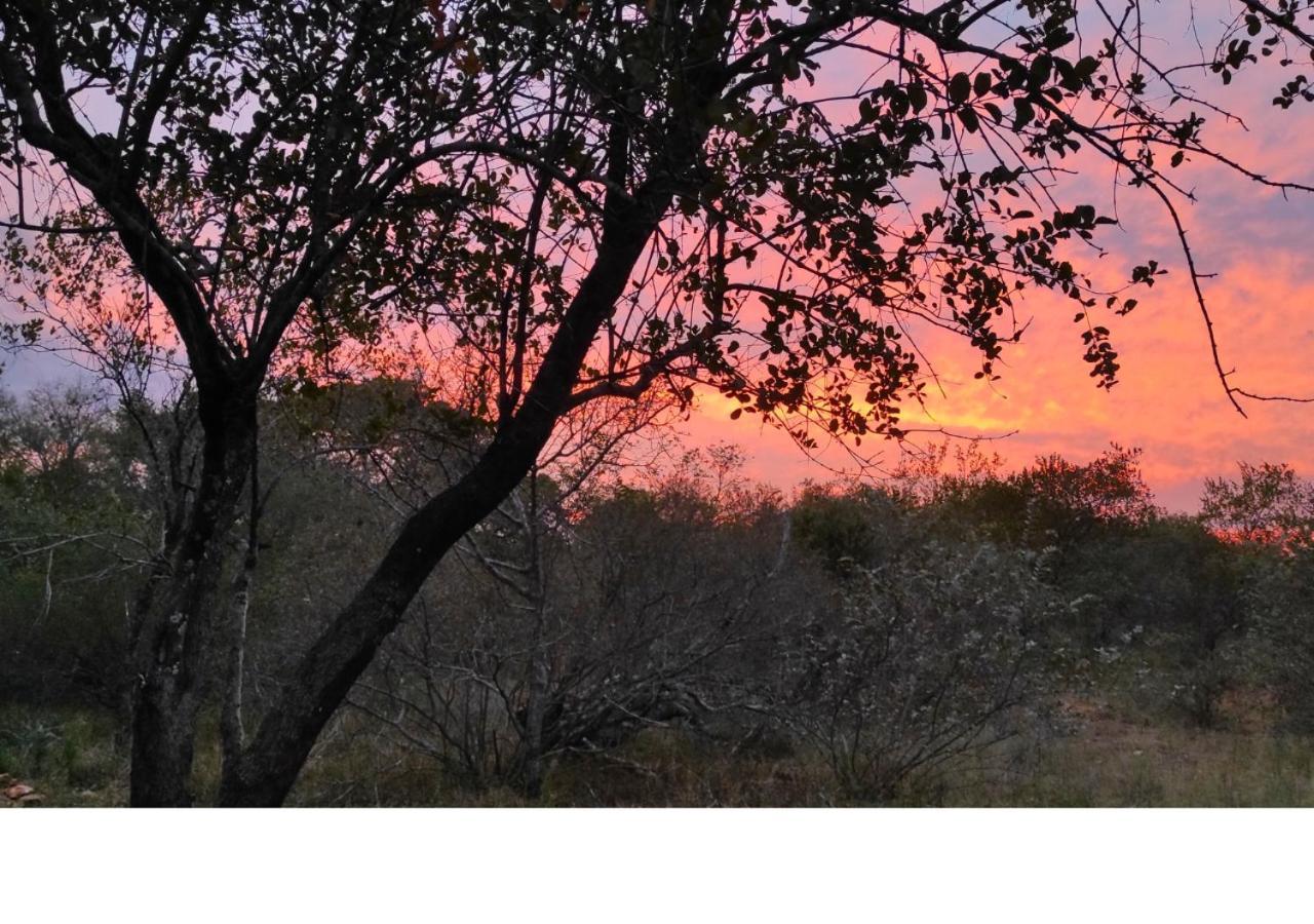 Villa Lion King Marloth Park Esterno foto