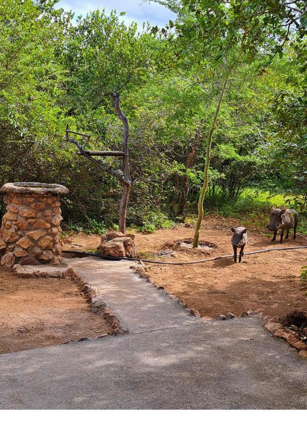 Villa Lion King Marloth Park Esterno foto