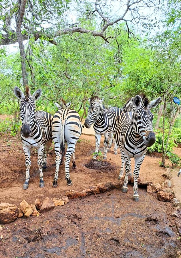 Villa Lion King Marloth Park Esterno foto