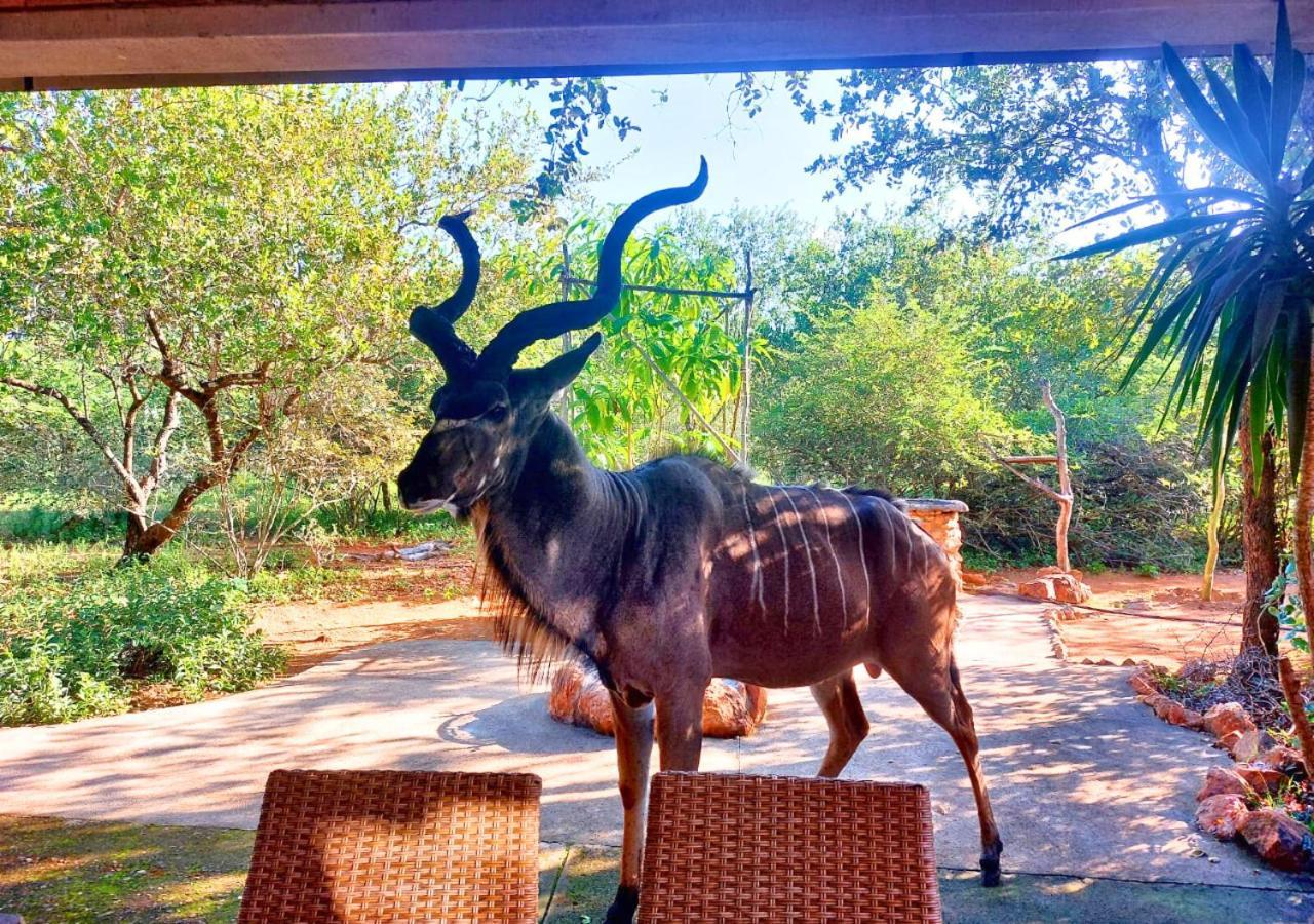 Villa Lion King Marloth Park Esterno foto