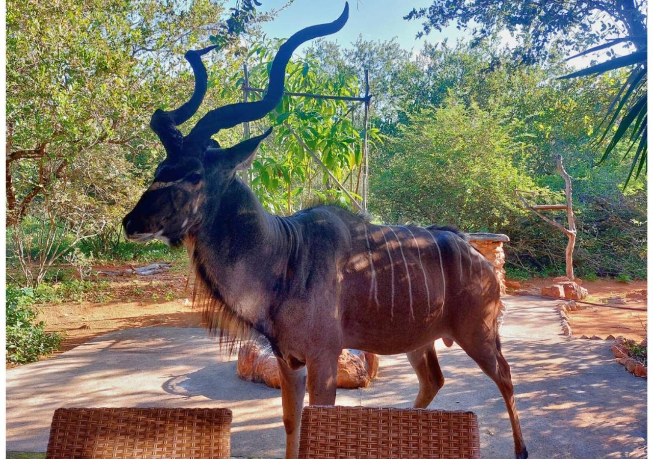 Villa Lion King Marloth Park Esterno foto