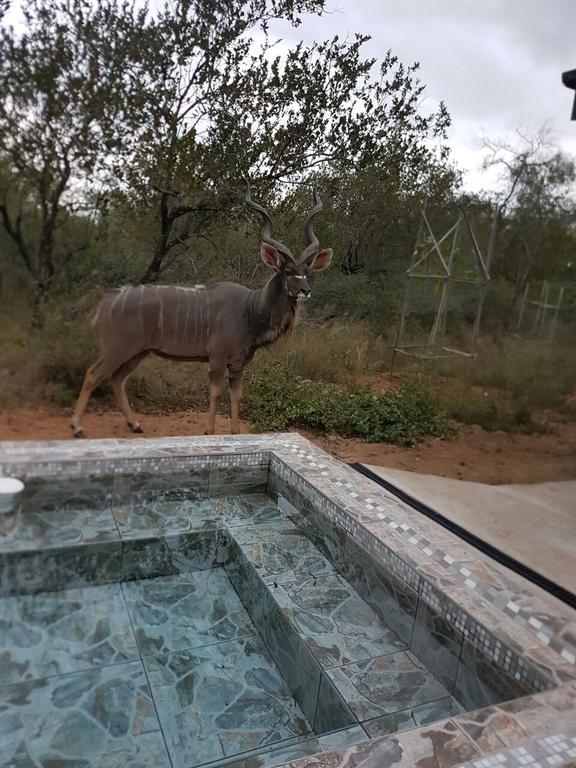 Villa Lion King Marloth Park Esterno foto