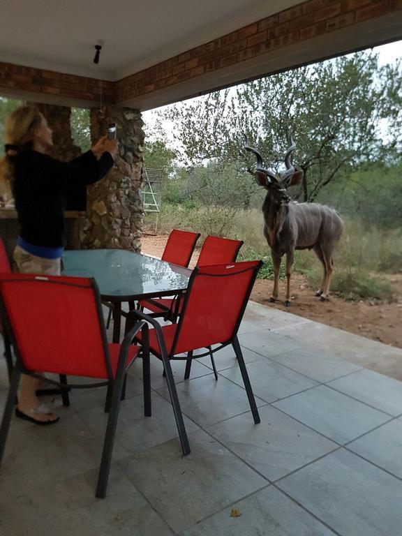 Villa Lion King Marloth Park Esterno foto